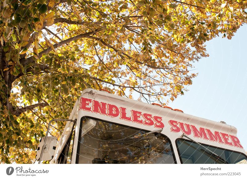 Endless buzzer Summer Autumn Tree Vehicle ice car Characters Yellow Red White Autumn leaves Inscription Ice-cream vender Brooklyn Stall Infinity Colour photo