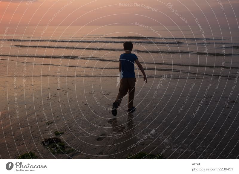 Your tracks in the sand Relaxation Calm Vacation & Travel Tourism Summer Summer vacation Beach Ocean Human being Child Infancy Nature Landscape Sunrise Sunset