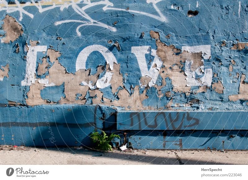 ...is all you need Stone Concrete Characters Graffiti Old Trashy Blue Gray White Love Flake off Dye Black & white photo Exterior shot Structures and shapes