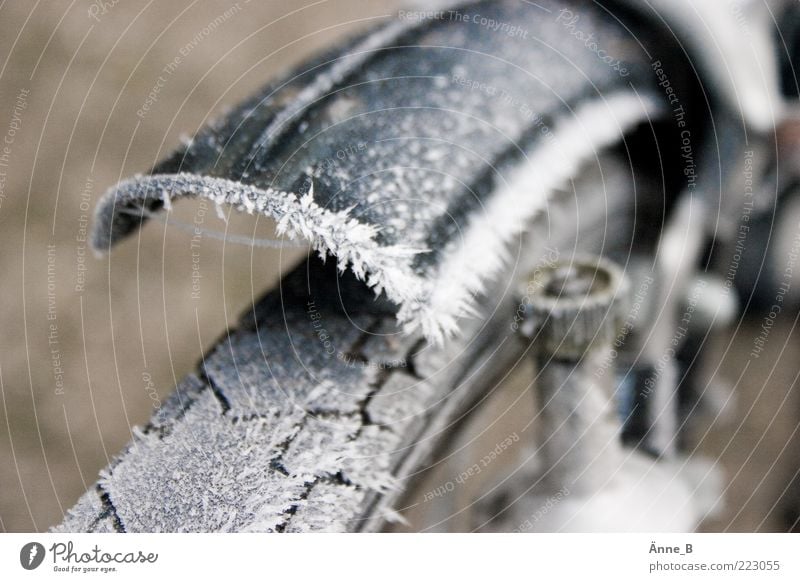 icecycle Winter Bicycle Guard Tire tread Cold Thorny Ice Frost dynamo Section of image Partially visible Hoar frost Ice crystal Wheel Deserted Colour photo