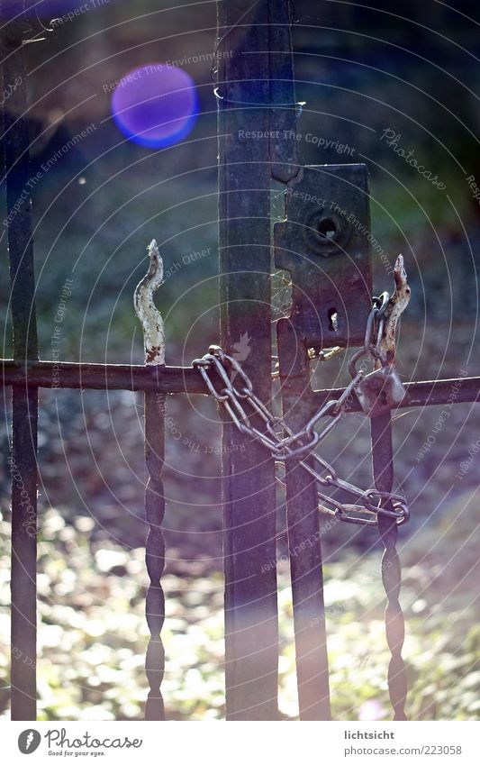 Closed Sunrise Sunset Beautiful weather Gate Metal Lock Emotions Loneliness End Bans Decline Transience Lose Time Door lock Fence Lens flare Dark Chain Captured