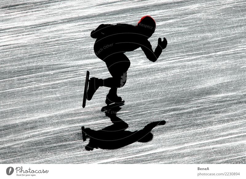 Silhouette of a speed skater against the light Winter Sports Fitness Sports Training Winter sports Sportsperson Sporting event speed skating Ice-skating