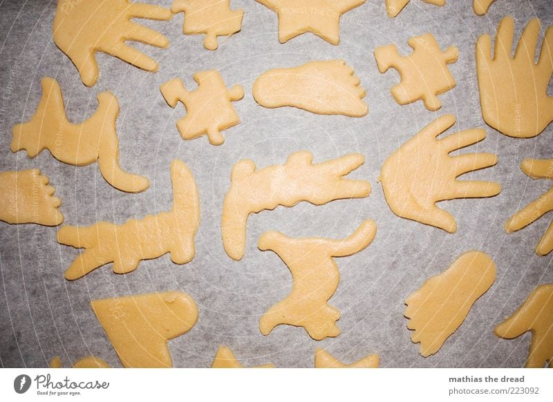 biscuits Food Dough Baked goods Cookie Structures and shapes Hand Puzzle Feet Cat Crocodile Preparation Christmas biscuit pre-Christmas period Colour photo