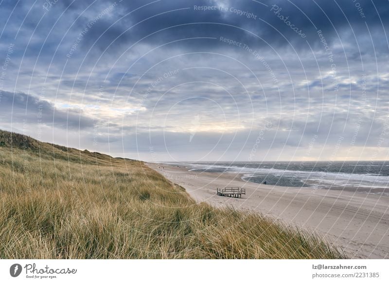 Small platform on a deserted sandy beach Vacation & Travel Beach Ocean Landscape Sky Clouds Autumn Weather Grass Coast North Sea Moody dunes coastal Dramatic