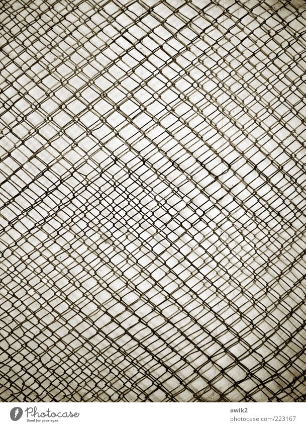 Network Art Metal Esthetic Exceptional Thin Sharp-edged Simple Firm Many Crazy Gray Black White Attachment Wire Wire netting fence Muddled Flexible Reticular