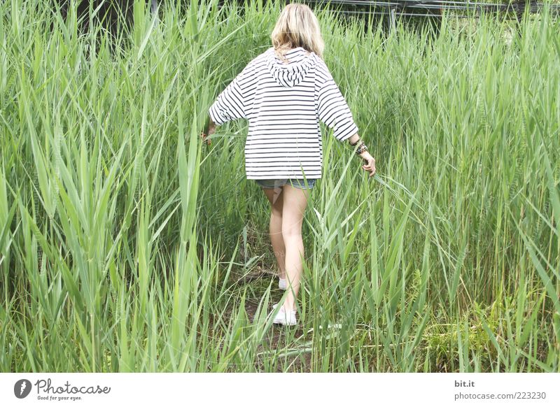 Goodbye winter... Human being Feminine Young woman Youth (Young adults) Legs 1 Nature spring Summer Foliage plant Coast Thin green White Common Reed