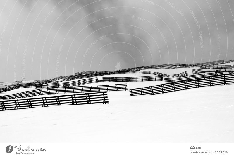 dog in the manger Vacation & Travel Winter Mountain Landscape Sky Clouds Bad weather Fog Snow Alps Gloomy Gray February Fiss Fence Grating Avalanche fence