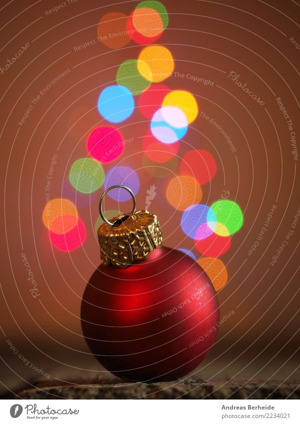 Christmas tree ball Feasts & Celebrations Christmas & Advent Anticipation Together Belief Calm Tradition elegance festive focus holiday red reflection romantic
