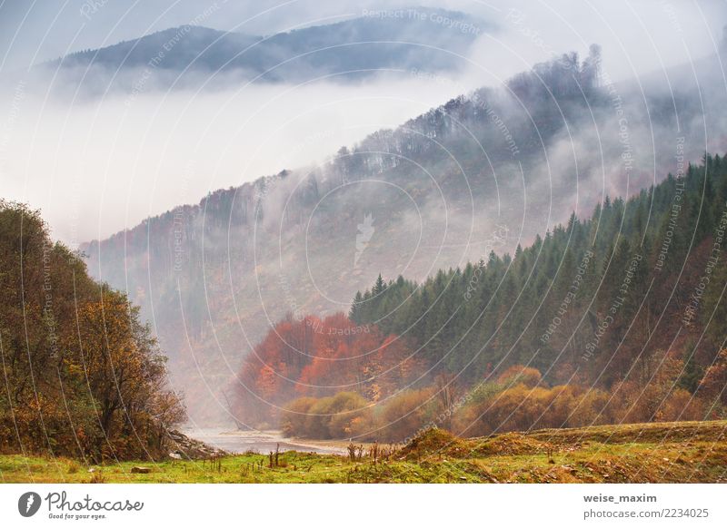Autumn rain and fog in the mountains. Fog over the river Vacation & Travel Tourism Trip Adventure Far-off places Freedom Expedition Camping Mountain Hiking