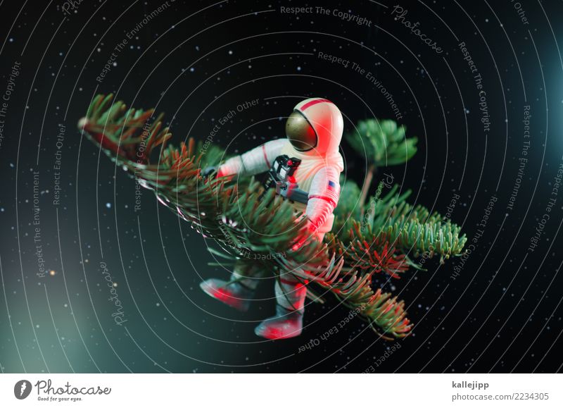 jewel in the night Feasts & Celebrations Christmas & Advent New Year's Eve Profession Human being 1 Flying Astronaut Fir branch Universe Delivery person Card