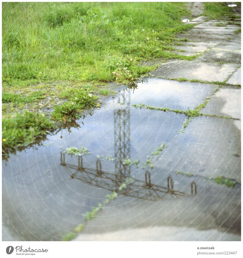 untitled 4 Energy industry Environment Water Grass Moss Deserted Concrete Steel Gloomy Colour photo Exterior shot Detail Day Electricity pylon Puddle