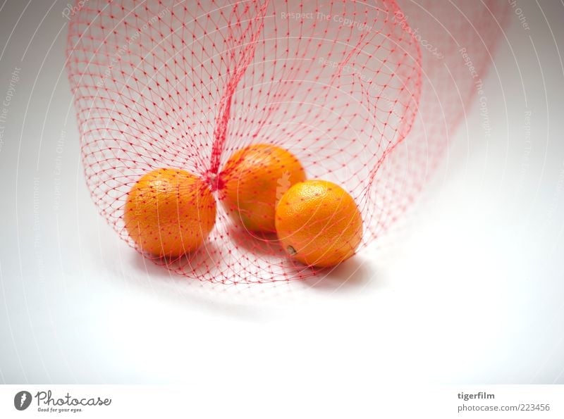 mandarin oranges Orange White Fruit Bag Plastic bag Nylon fishnet Net three 3 Food Snack still life Simple