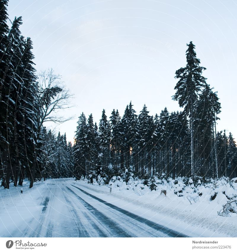 winter joys Winter Nature Landscape Climate Ice Frost Forest Traffic infrastructure Street Lanes & trails Sign Road sign Driving Threat Cold Moody Acceptance