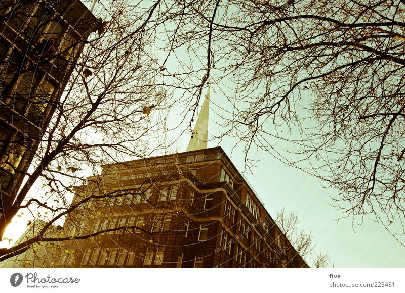 Hamburg Christmas Time Sky Cloudless sky Winter Plant Tree Town Port City Pedestrian precinct Populated House (Residential Structure) High-rise Bank building