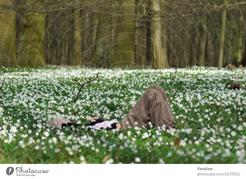 I dream of spring Human being Feminine Child Girl Infancy 1 3 - 8 years Environment Nature Landscape Plant Spring Beautiful weather Tree Flower Blossom Meadow