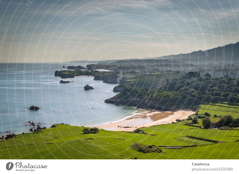 View of the bay of Toranda Summer vacation Hiking Landscape Sky Tree Grass Meadow Forest Hill coast Beach Observe Glittering Authentic Maritime Blue Brown Gray