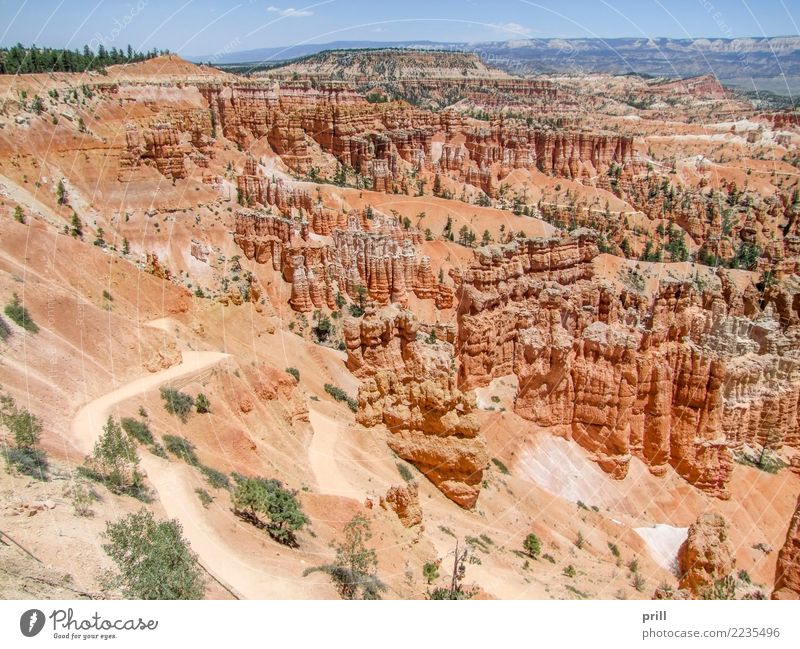Bryce Canyon National Park Tourism Nature Sand Tree Rock Stone Brown Red Utah USA Hoodoos Rock formation Erosion Weathered Sandstone Sediment rock needle