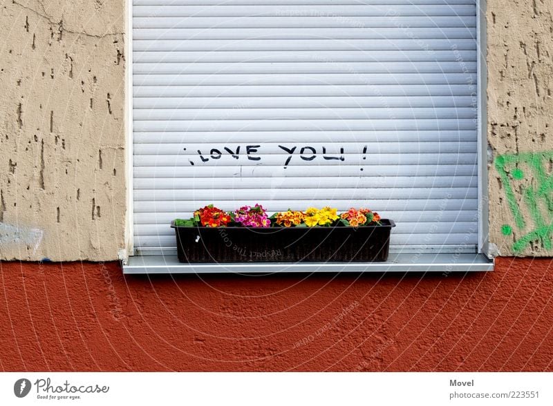 I LOVE YOU! Flower House (Residential Structure) Wall (barrier) Wall (building) Facade Window Stone Concrete Sign Characters Graffiti Fragrance Kitsch Gray Red