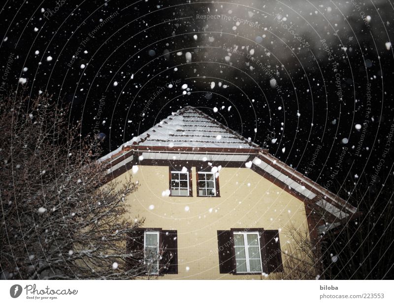 The snow trickles quietly Winter Snow Snowfall House (Residential Structure) Detached house Hut Facade Black White Calm Bizarre Snowflake Precipitation Clouds