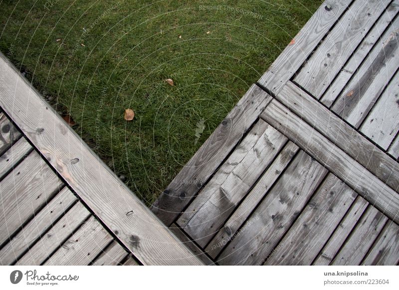 V Environment Grass Terrace Sharp-edged Green Wood Footbridge Lawn Geometry Line Chopping board Floor covering Meadow Copy Space Day Colour photo Subdued colour