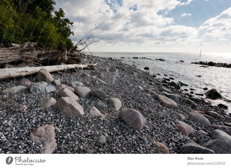 White pebbles Nature Landscape Water Clouds Summer Beautiful weather Coast Beach Baltic Sea Island Rügen Discover Exceptional Clean Gloomy Judicious Wisdom
