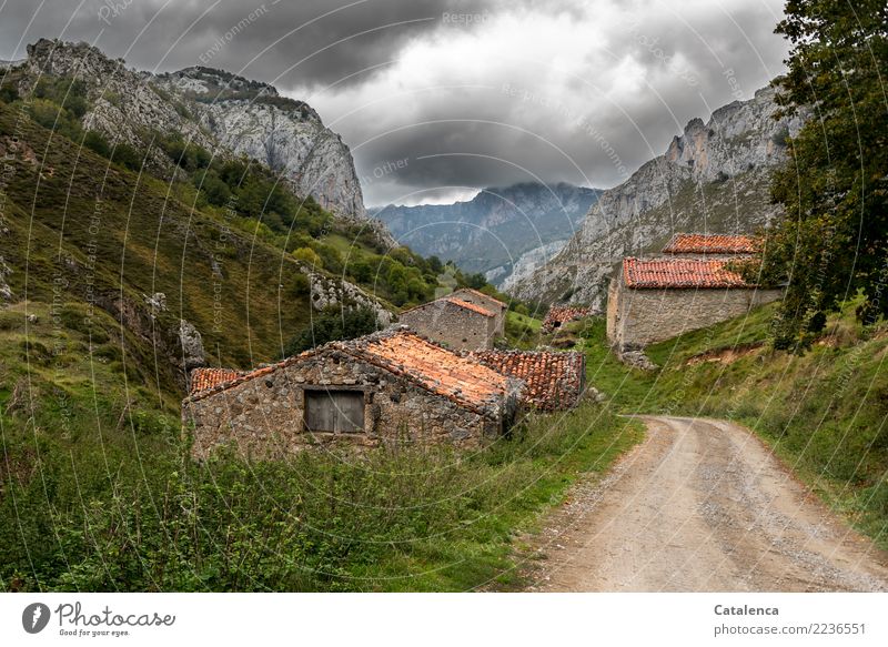 Erdweg, surrounded by stone huts in the mountains Landscape Storm clouds Summer Bad weather Tree Grass Bushes Meadow Mountain House (Residential Structure) Hut