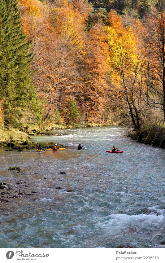 #S# Kayak Hiking II Aquatics Swimming & Bathing Alps Nature Whitewater Water Forest Autumn Yellow Orange Sports Extreme sports Group Paddling Passion River