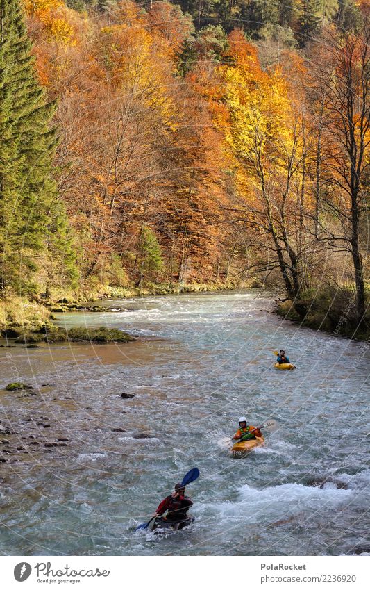 #S# Kayak hiking IV Aquatics Swimming & Bathing Alps Hiking Nature Whitewater Water Forest Autumn Yellow Orange Sports Extreme sports River Group Paddling