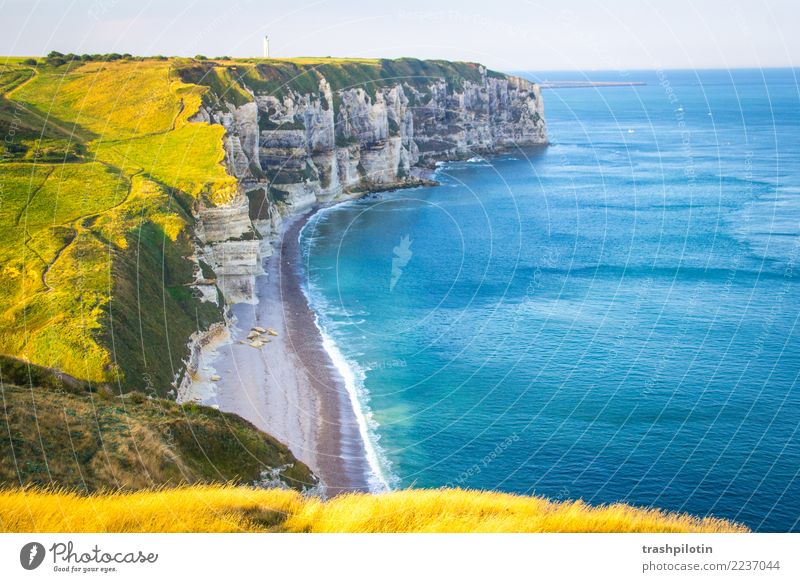 etretat North Sea Étretat France Normandie Landscape Limestone rock Ocean Autumn Nature Back-light Rock