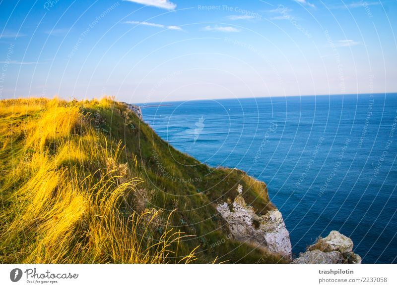 etretat North Sea Étretat France Normandie Landscape Limestone rock Ocean Autumn Nature Back-light Rock