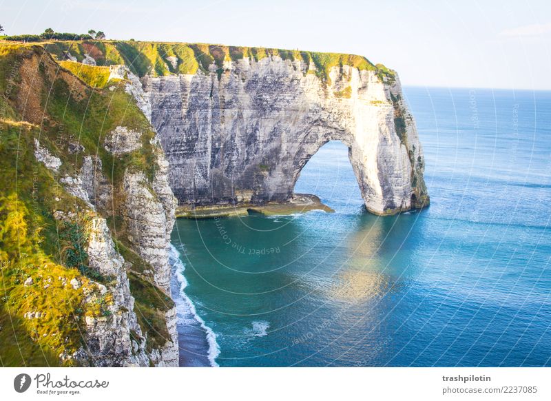 etretat Environment Nature Landscape Water Summer Beautiful weather North Sea Étretat France Europe Vacation & Travel Rock Cliff Freedom Colour photo