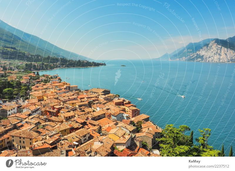 Malcesine at Lake Garda Vacation & Travel Tourism Sightseeing Summer Summer vacation Nature Landscape Water Sky Cloudless sky Sunlight Beautiful weather