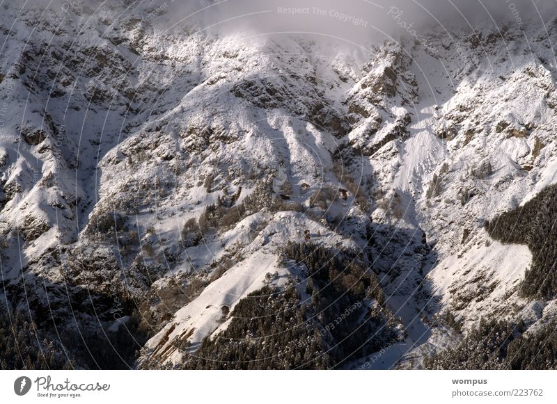Morning fog in the high mountains Environment Nature Landscape Beautiful weather Fog Alps Mountain Colour photo Exterior shot Bird's-eye view Snow Rock