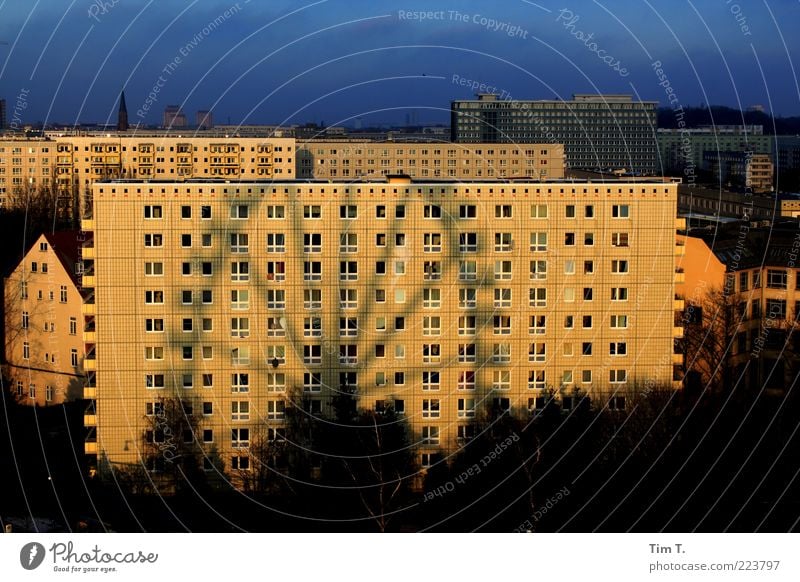 Market in Berlin Germany Capital city Downtown House (Residential Structure) High-rise Manmade structures Building Architecture Facade Window Loneliness