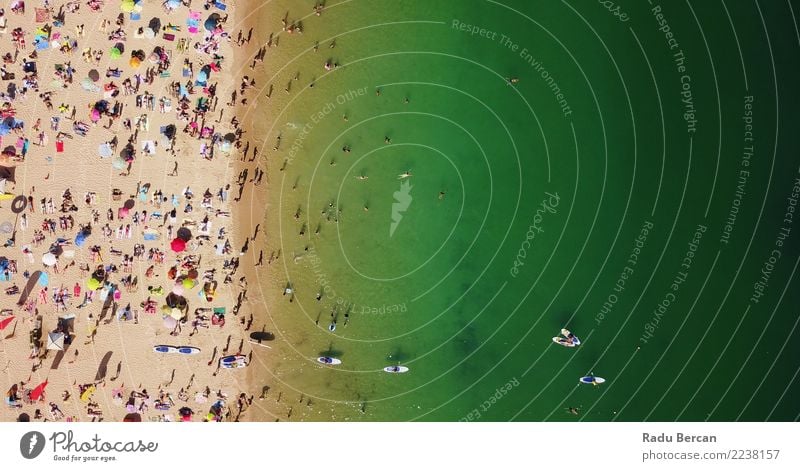 Aerial View Of People Having Fun On Beach Lifestyle Wellness Relaxation Swimming & Bathing Vacation & Travel Tourism Adventure Freedom Summer Summer vacation