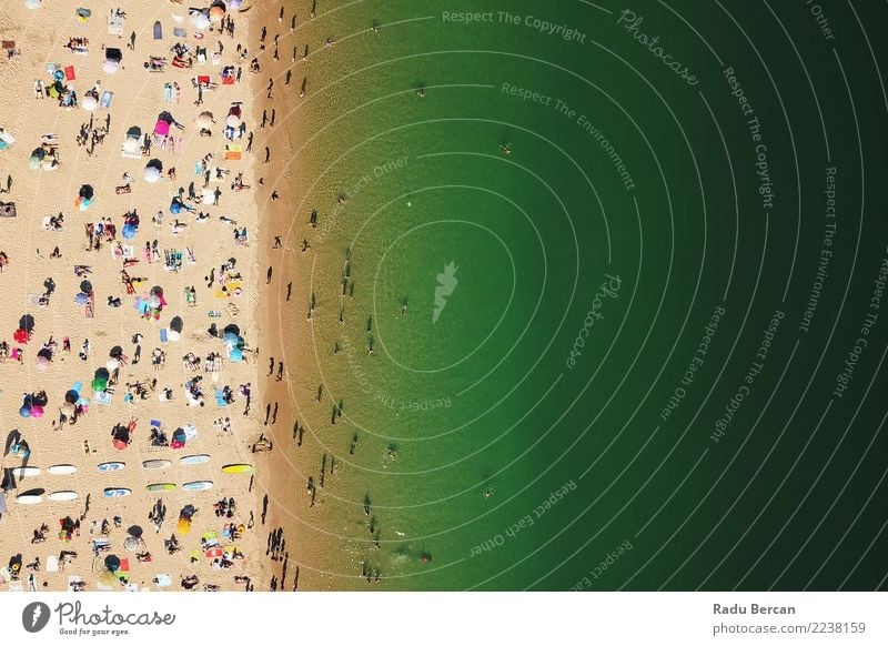 Aerial View Of People Having Fun On Portugal Beach Lifestyle Wellness Swimming & Bathing Vacation & Travel Tourism Adventure Freedom Summer Summer vacation Sun