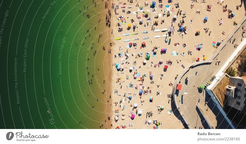 Aerial Summer View Of People Crowd On Cascais Beach Swimming & Bathing Vacation & Travel Tourism Freedom Summer vacation Sun Sunbathing Ocean Human being Group