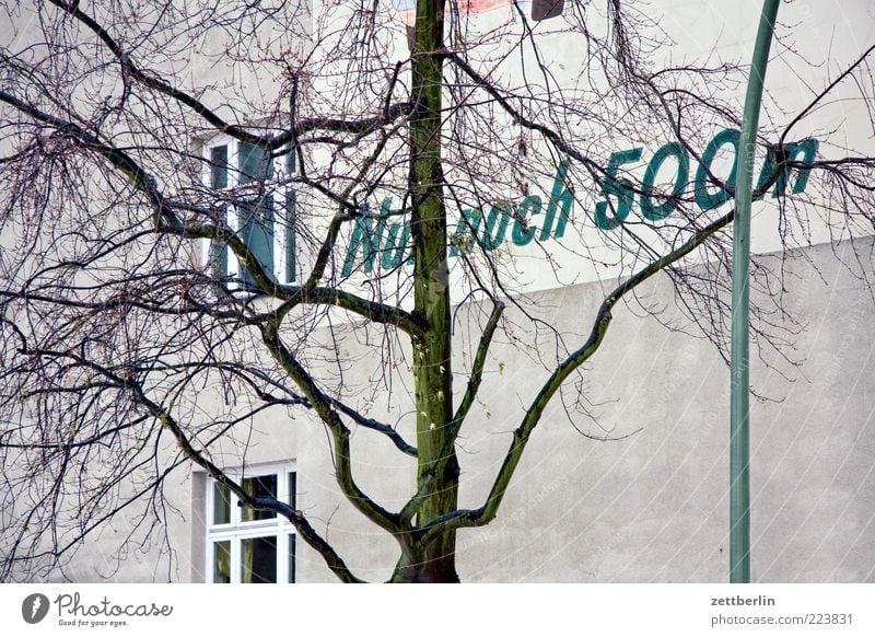 Only 500m left Pedestrian precinct Deserted Trade Competition Contact wallroth House (Residential Structure) Facade Window Tree Tree trunk Branch Twig