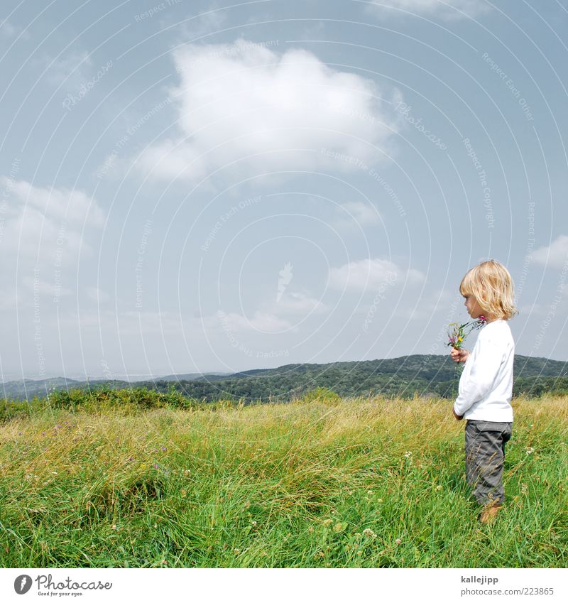nature studies Leisure and hobbies Playing Parenting Education Human being Boy (child) Infancy Life 1 3 - 8 years Child Environment Nature Landscape Sky Clouds