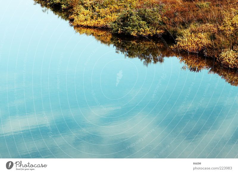 bank Calm Environment Nature Plant Water Sky Bushes Moss Lakeside Blue Corner Surface of water Colour photo Multicoloured Exterior shot Deserted Copy Space left