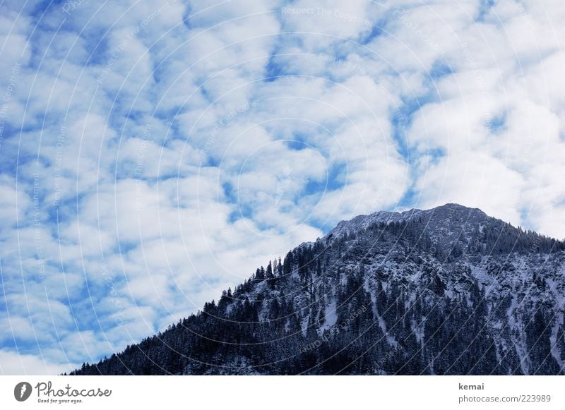 Mountain and clouds Environment Nature Landscape Plant Sky Clouds Winter Ice Frost Snow Tree Wild plant Hill Rock Alps Peak Cold Winter light Forest