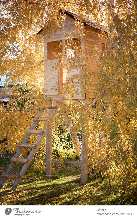 Tree house Luxury Style Design Leisure and hobbies Playing Summer House (Residential Structure) Garden Decoration Child Infancy Culture Nature Landscape Grass
