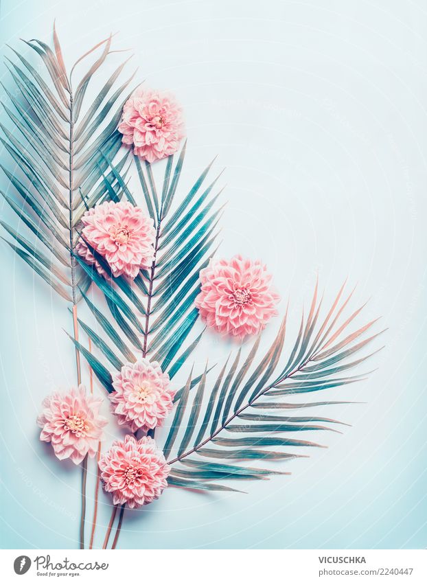 Layout with tropical palm leaves and pastel pink flowers Style Design Nature Plant Flower Leaf Blossom Hip & trendy Pink Conceptual design Background picture
