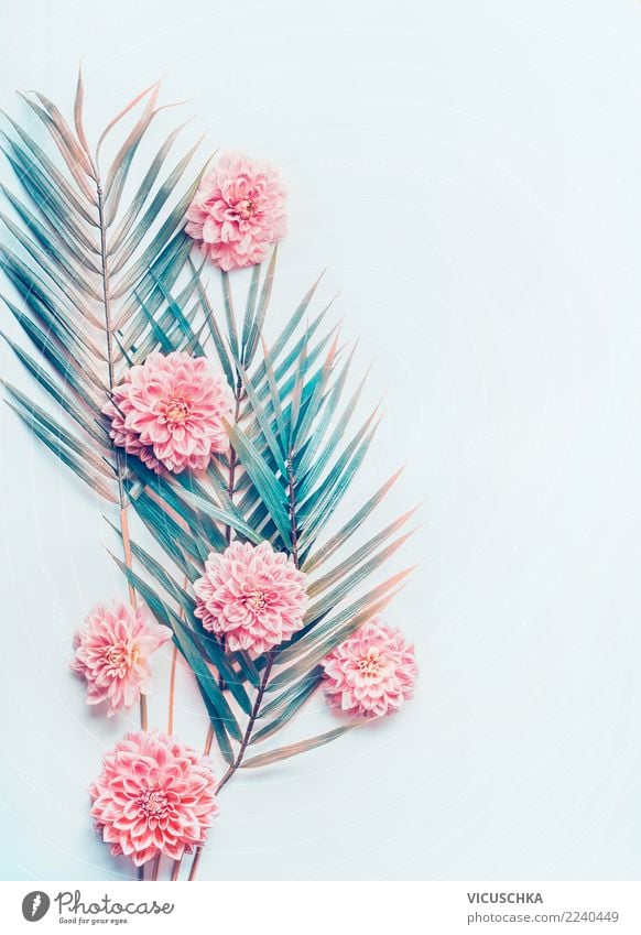 Creative Layout With Tropical Palm Leaves And Flowers A Royalty Free Stock Photo From Photocase