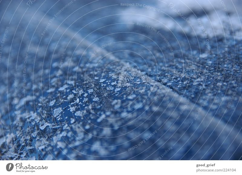 dual phase steel + ice crystals Climate Weather Vehicle Car Cold Ice Ice crystal Car body Winter Depth of field Colour photo Exterior shot Experimental Pattern