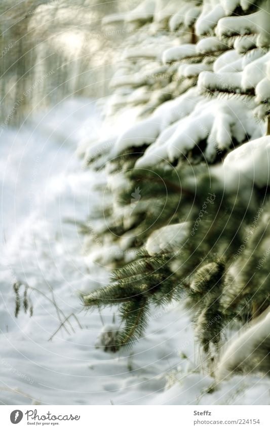 Winter atmosphere on the promenade onset of winter cold snap Winter Silence Domestic Nordic cold Winter mood winterly silence chill winter fog Promenade