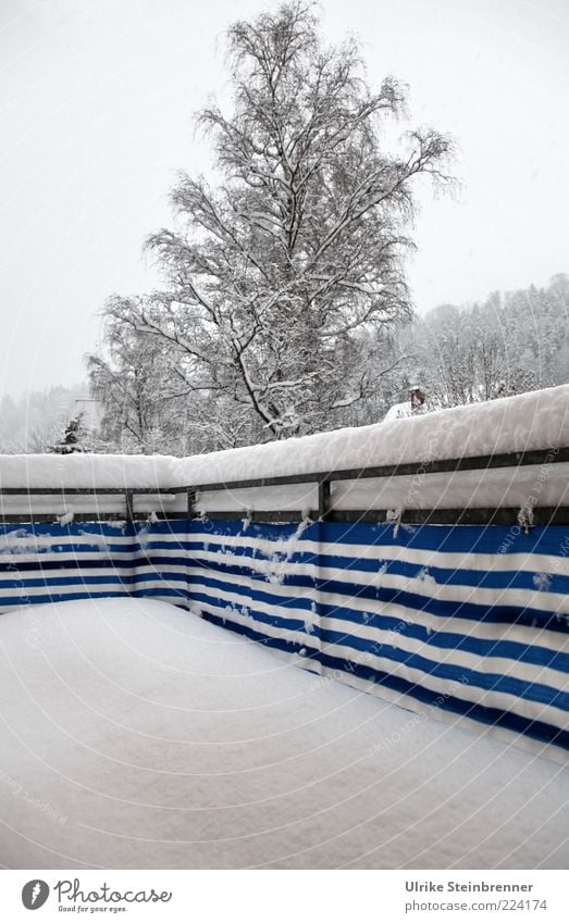 Freshly snowed-in balcony in winter Winter Bad weather Snow Tree House (Residential Structure) Balcony Freeze Cold Blue White Longing Stripe Comfortless Branch