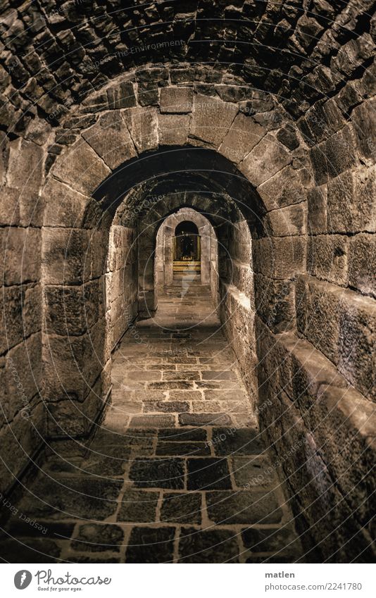 crypt Deserted Church Manmade structures Architecture Old Dark Brown Black Monastery Spain Rioja Altar Corridor Bow Natural stone Gothic period Subdued colour