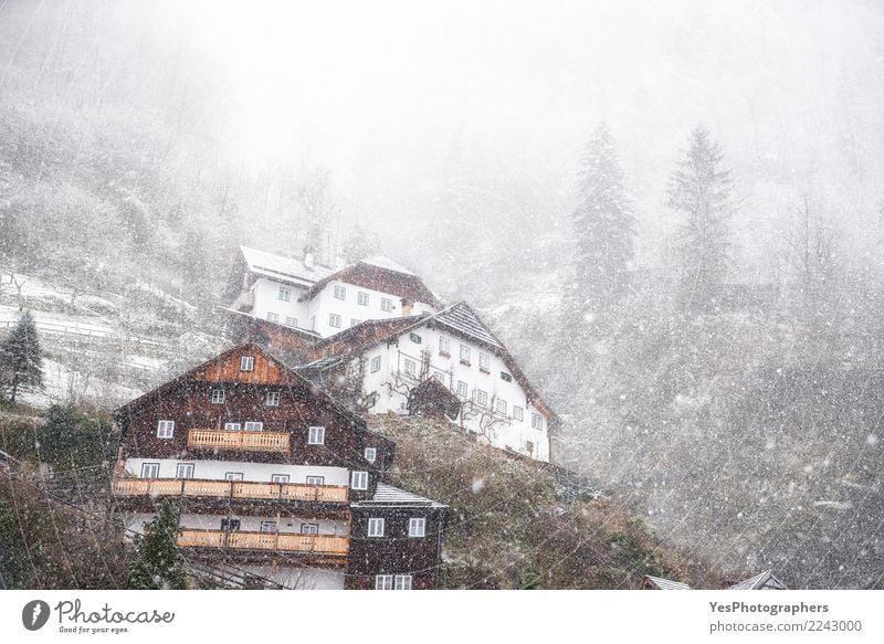 Dense snowfall over mountain village Vacation & Travel Mountain House (Residential Structure) New Year's Eve Climate change Weather Bad weather Storm Gale Snow