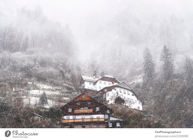 Snowfall over Austrian mountain village Vacation & Travel Mountain House (Residential Structure) New Year's Eve Weather Bad weather Storm Gale Forest Alps